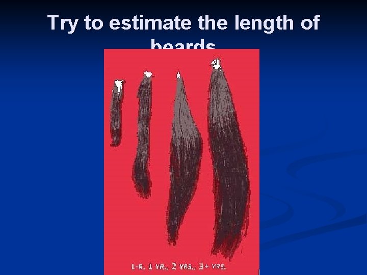 Try to estimate the length of beards 