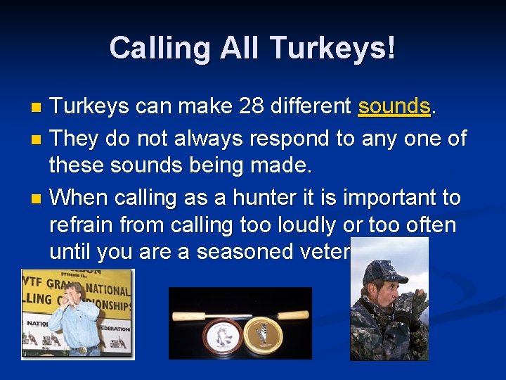 Calling All Turkeys! Turkeys can make 28 different sounds. n They do not always
