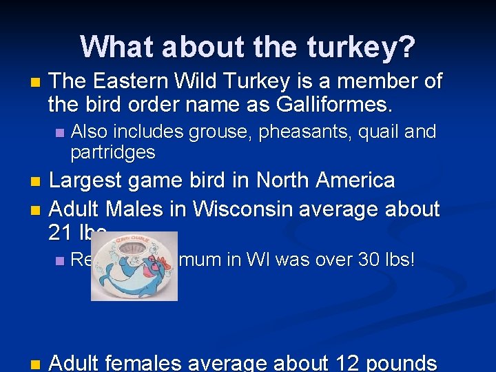 What about the turkey? n The Eastern Wild Turkey is a member of the