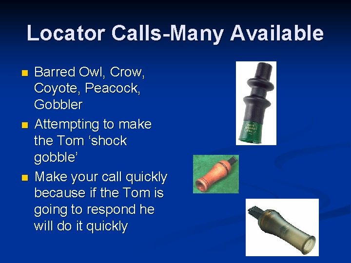 Locator Calls-Many Available n n n Barred Owl, Crow, Coyote, Peacock, Gobbler Attempting to