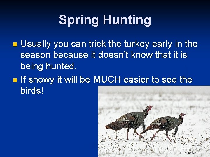 Spring Hunting Usually you can trick the turkey early in the season because it