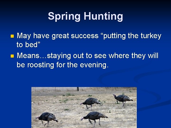 Spring Hunting May have great success “putting the turkey to bed” n Means…staying out