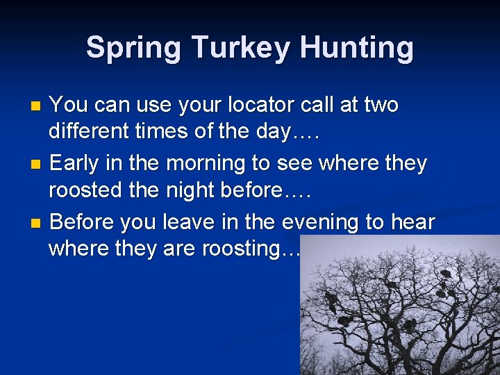 Spring Turkey Hunting You can use your locator call at two different times of