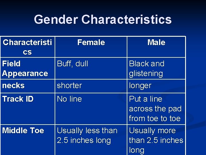 Gender Characteristics Characteristi Female cs Field Buff, dull Appearance necks shorter Track ID No