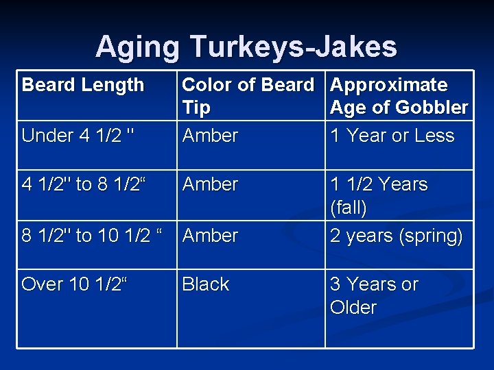 Aging Turkeys-Jakes Beard Length Under 4 1/2 " Color of Beard Tip Amber Approximate