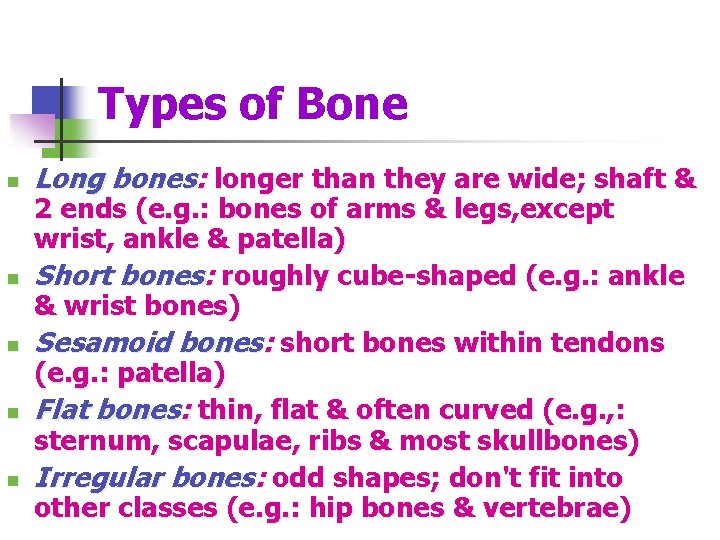 Types of Bone n n n Long bones: longer than they are wide; shaft