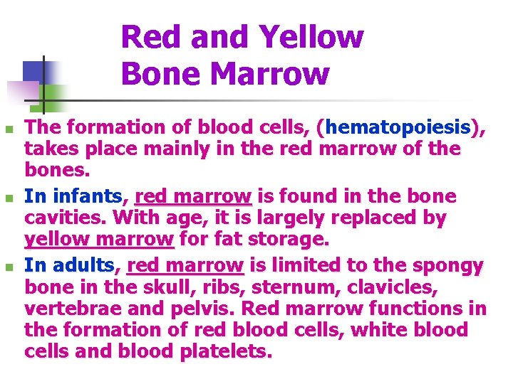 Red and Yellow Bone Marrow n n n The formation of blood cells, (hematopoiesis),