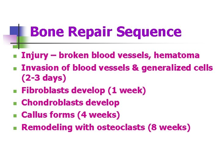 Bone Repair Sequence n n n Injury – broken blood vessels, hematoma Invasion of