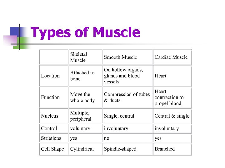 Types of Muscle 
