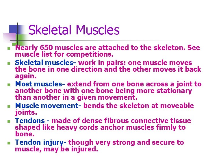 Skeletal Muscles n n n Nearly 650 muscles are attached to the skeleton. See