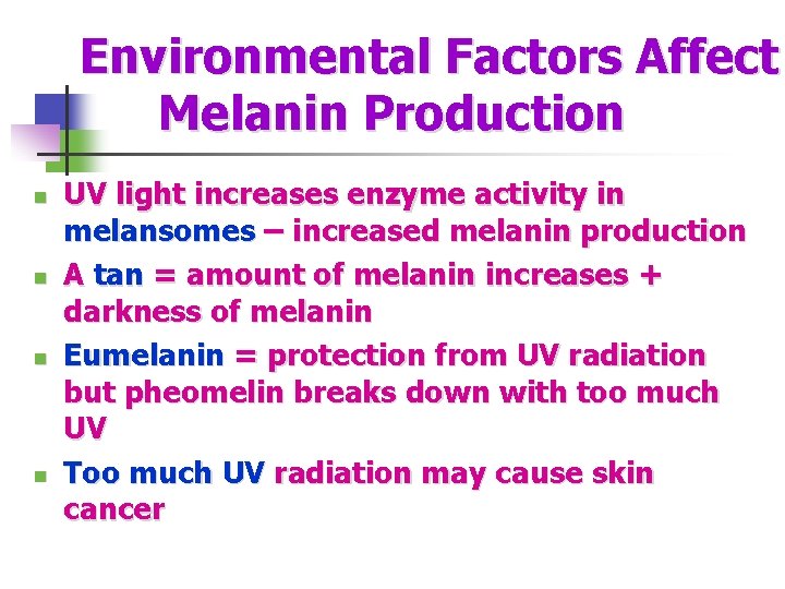 Environmental Factors Affect Melanin Production n n UV light increases enzyme activity in melansomes
