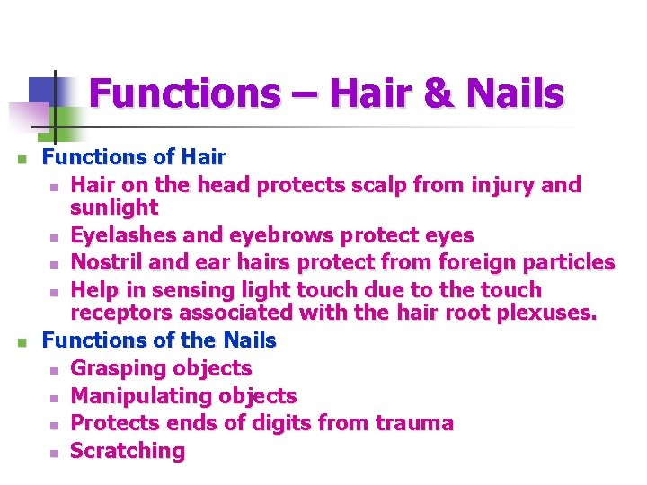 Functions – Hair & Nails n n Functions of Hair n Hair on the