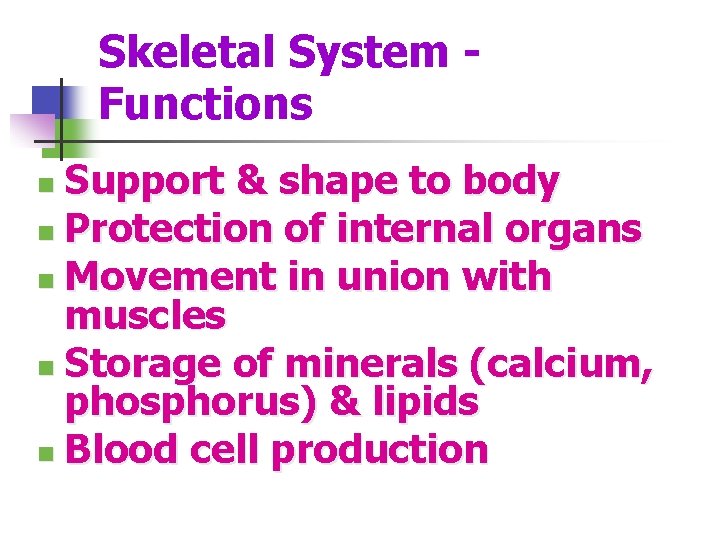 Skeletal System - Functions Support & shape to body n Protection of internal organs