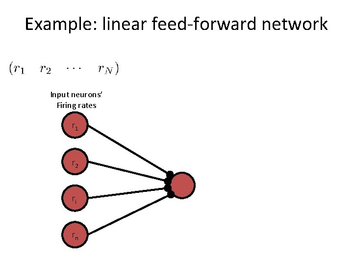 Example: linear feed-forward network Input neurons’ Firing rates r 1 r 2 ri rn