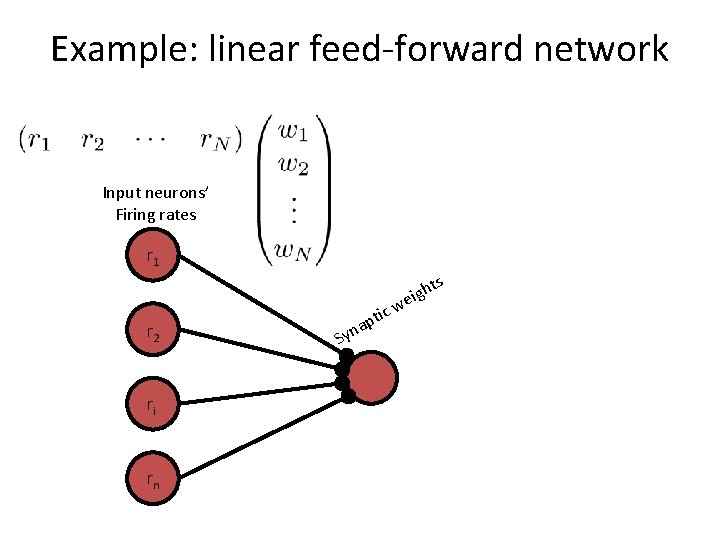 Example: linear feed-forward network Input neurons’ Firing rates r 1 s r 2 ri