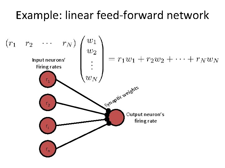 Example: linear feed-forward network Input neurons’ Firing rates r 1 s r 2 ri