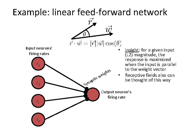 Example: linear feed-forward network Input neurons’ Firing rates r 1 s r 2 ri