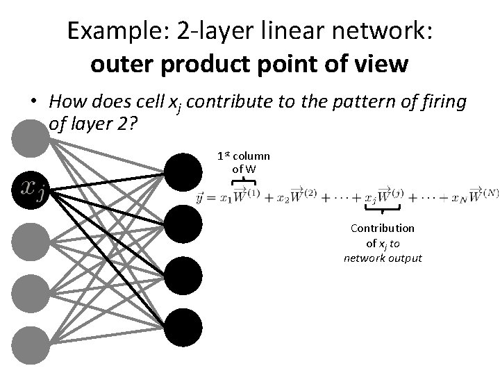 Example: 2 -layer linear network: outer product point of view • How does cell