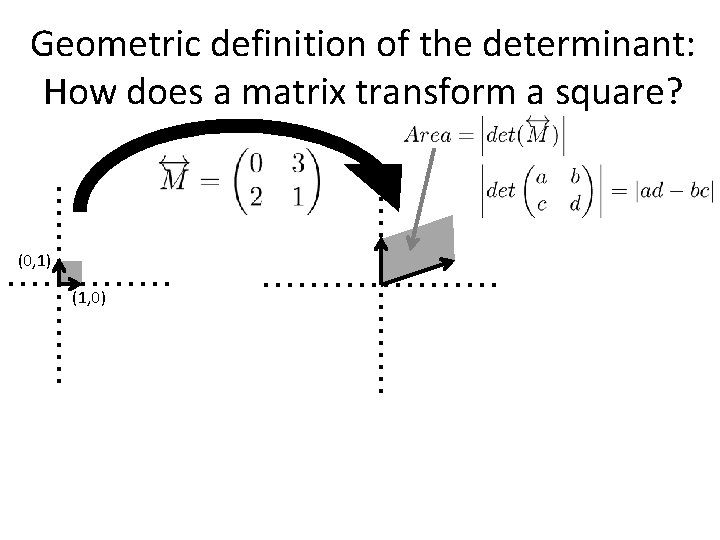 Geometric definition of the determinant: How does a matrix transform a square? (0, 1)