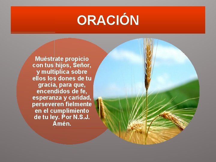 ORACIÓN Muéstrate propicio con tus hijos, Señor, y multiplica sobre ellos dones de tu