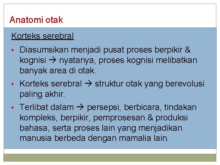 Anatomi otak Korteks serebral • Diasumsikan menjadi pusat proses berpikir & kognisi nyatanya, proses