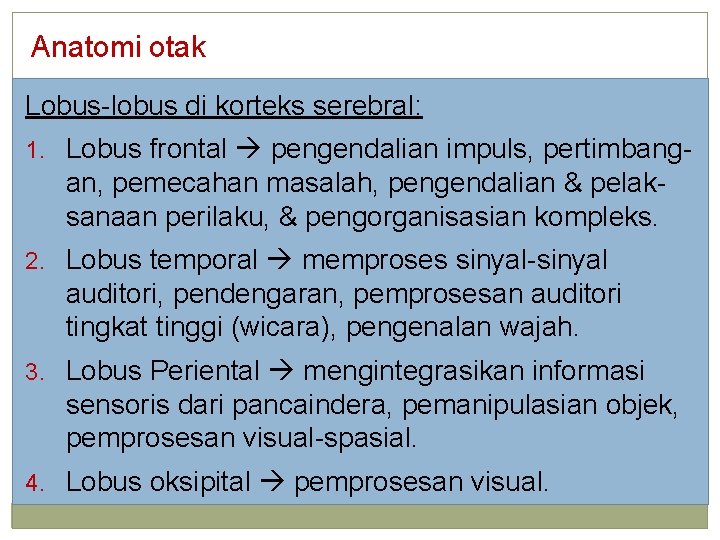 Anatomi otak Lobus-lobus di korteks serebral: 1. Lobus frontal pengendalian impuls, pertimbang- an, pemecahan