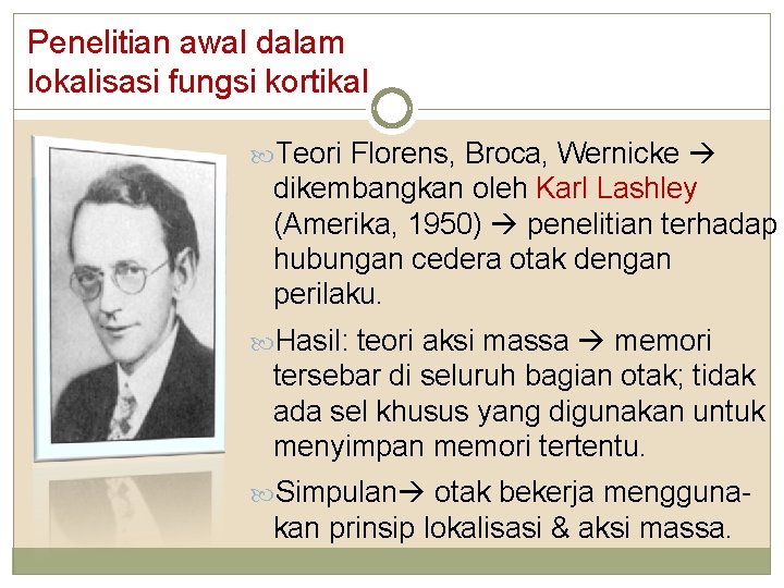 Penelitian awal dalam lokalisasi fungsi kortikal Teori Florens, Broca, Wernicke dikembangkan oleh Karl Lashley