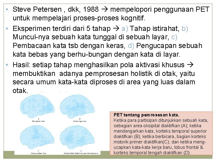  • Steve Petersen , dkk, 1988 mempelopori penggunaan PET untuk mempelajari proses-proses kognitif.