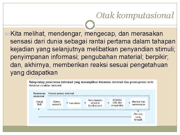 Otak komputasional Kita melihat, mendengar, mengecap, dan merasakan sensasi dari dunia sebagai rantai pertama