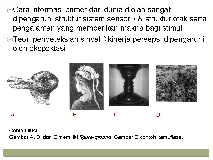  Cara informasi primer dari dunia diolah sangat dipengaruhi struktur sistem sensorik & struktur