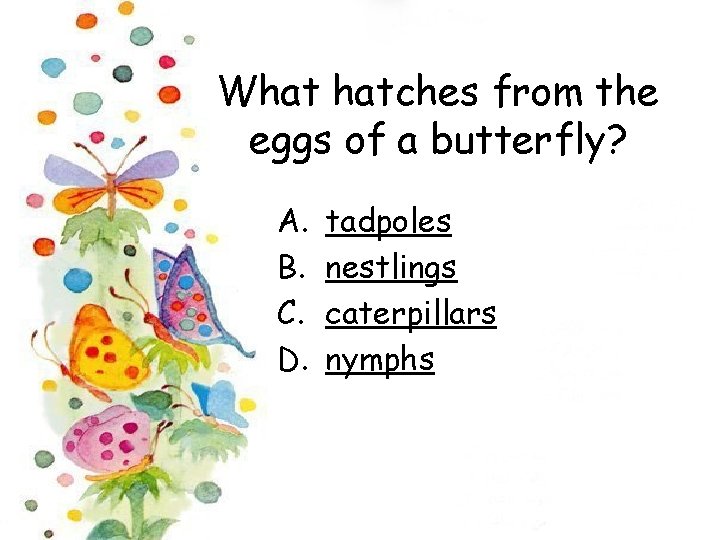 What hatches from the eggs of a butterfly? A. B. C. D. tadpoles nestlings