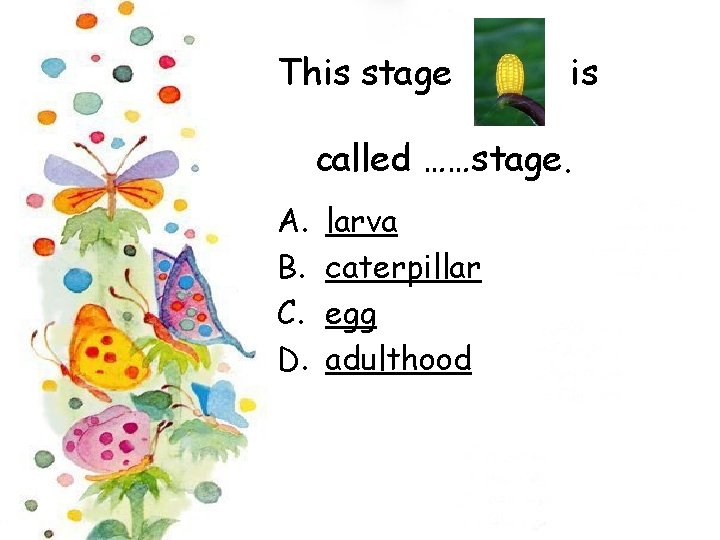 This stage is called ……stage. A. B. C. D. larva caterpillar egg adulthood 