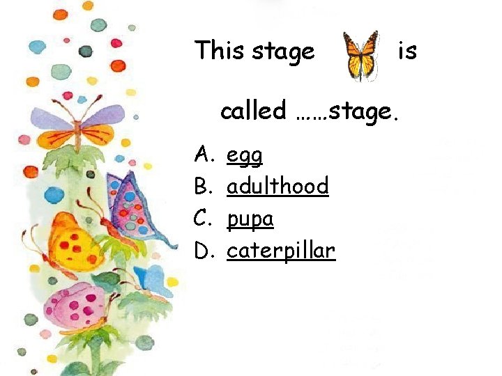 This stage is called ……stage. A. B. C. D. egg adulthood pupa caterpillar 