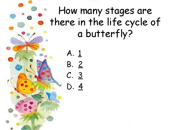 How many stages are there in the life cycle of a butterfly? A. B.