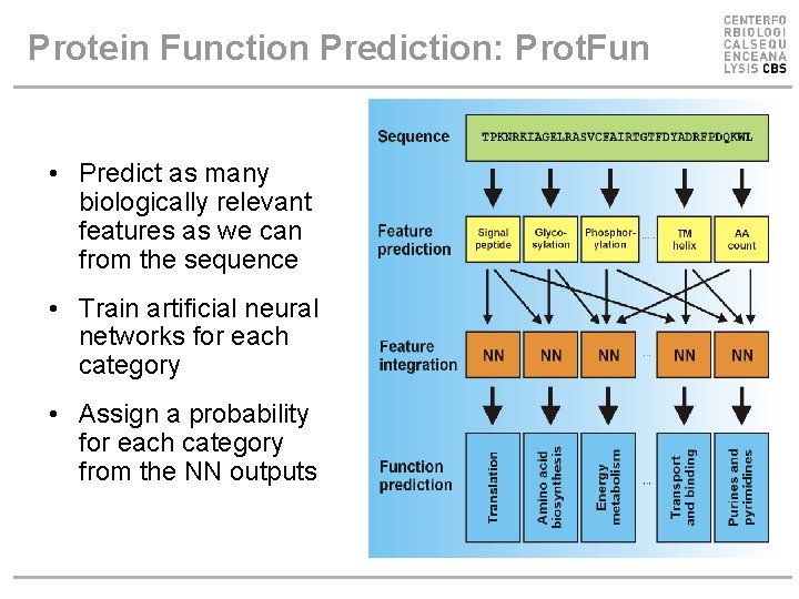 Protein Function Prediction: Prot. Fun • Predict as many biologically relevant features as we Protein Function Prediction: Prot. Fun • Predict as many biologically relevant features as we