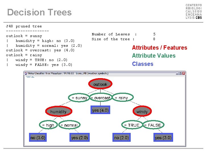 Decision Trees J 48 pruned tree ---------outlook = sunny | humidity = high: no Decision Trees J 48 pruned tree ---------outlook = sunny | humidity = high: no