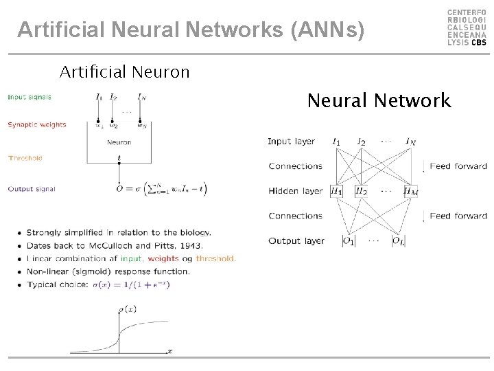 Artificial Neural Networks (ANNs) Artificial Neuron Neural Network Artificial Neural Networks (ANNs) Artificial Neuron Neural Network