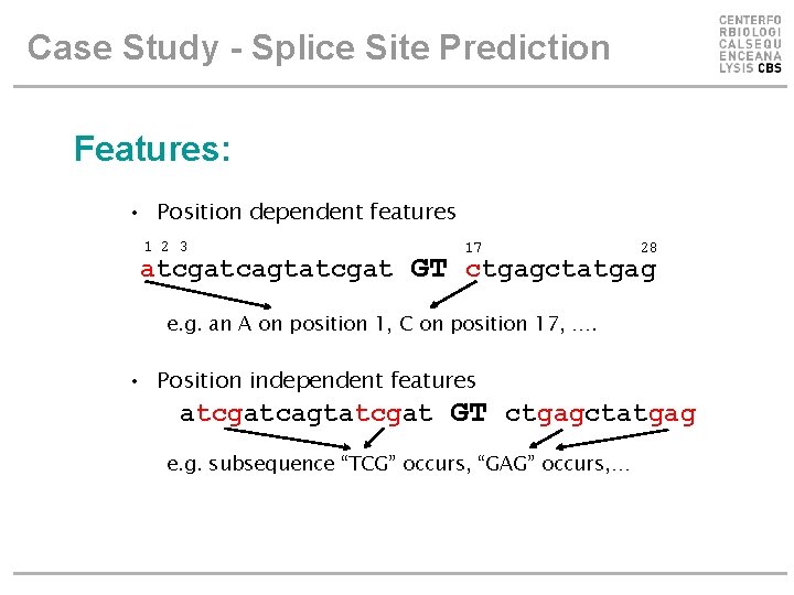 Case Study - Splice Site Prediction Features: • Position dependent features 1 2 3 Case Study - Splice Site Prediction Features: • Position dependent features 1 2 3