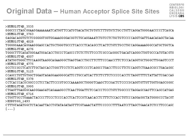 Original Data – Human Acceptor Splice Sites >HUMGLUT 4 B_3535 GGGCCCCTAGCGGAAAAAAATCATGGTTCCATGTGACATGCTGTGTCTTTGTGTCTGCCTGTTCAGGATGGGGAACCCCCTCAGCA >HUMGLUT 4 B_3763 Original Data – Human Acceptor Splice Sites >HUMGLUT 4 B_3535 GGGCCCCTAGCGGAAAAAAATCATGGTTCCATGTGACATGCTGTGTCTTTGTGTCTGCCTGTTCAGGATGGGGAACCCCCTCAGCA >HUMGLUT 4 B_3763