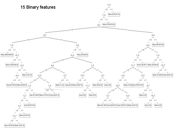 15 Binary features 15 Binary features