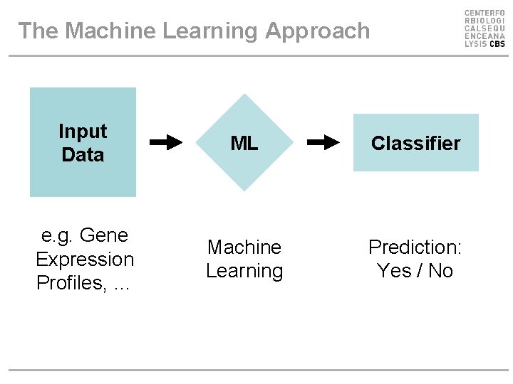 The Machine Learning Approach Input Data ML Classifier e. g. Gene Expression Profiles, … The Machine Learning Approach Input Data ML Classifier e. g. Gene Expression Profiles, …