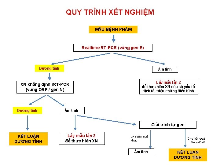 QUY TRÌNH XÉT NGHIỆM MẪU BỆNH PHẨM Realtime RT-PCR (vùng gen E) Dương tính