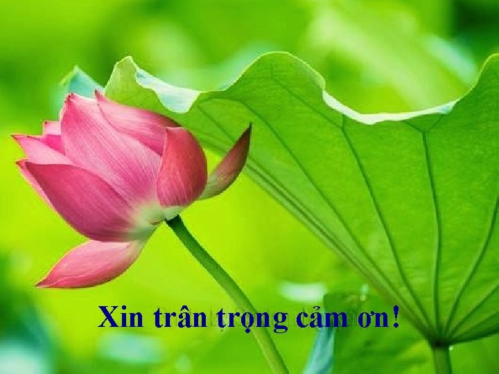 Xin trân trọng cảm ơn! 