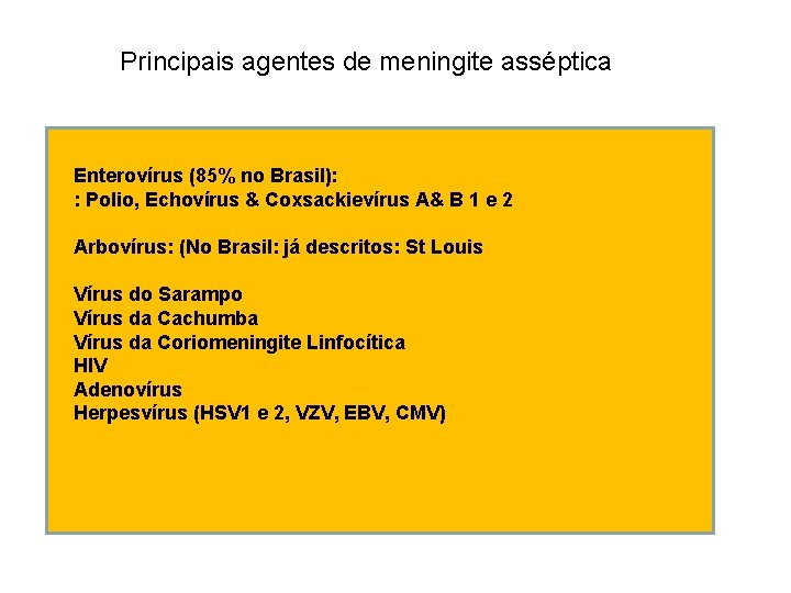 Principais agentes de meningite asséptica Enterovírus (85% no Brasil): : Polio, Echovírus & Coxsackievírus