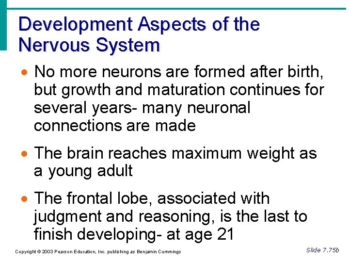 Development Aspects of the Nervous System · No more neurons are formed after birth,