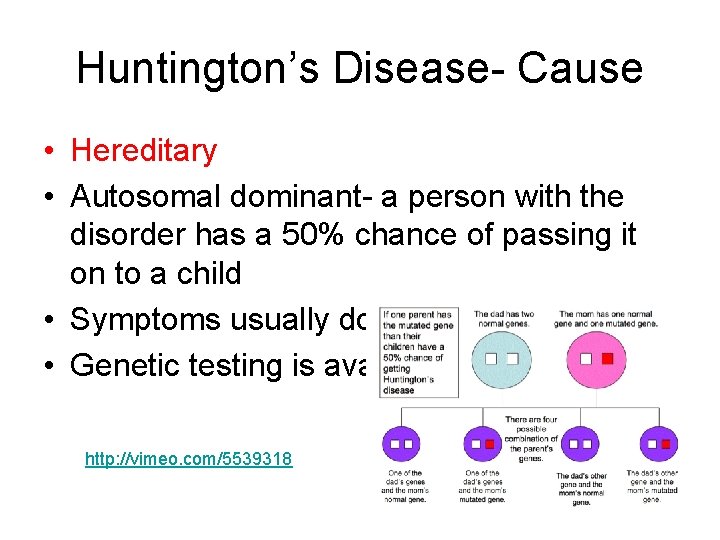 Huntington’s Disease- Cause • Hereditary • Autosomal dominant- a person with the disorder has