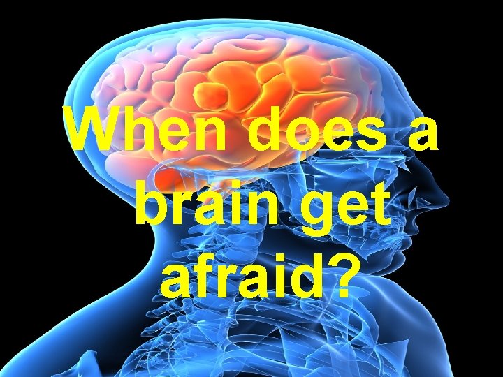 When does a brain get afraid? 