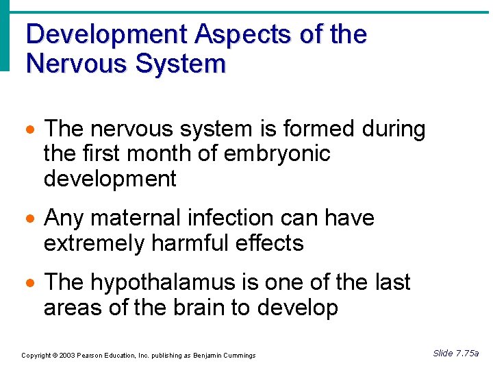 Development Aspects of the Nervous System · The nervous system is formed during the