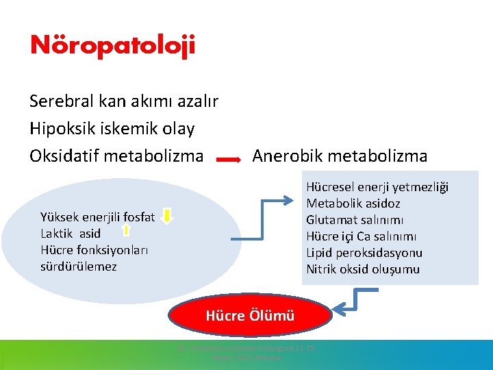 Nöropatoloji Serebral kan akımı azalır Hipoksik iskemik olay Oksidatif metabolizma Anerobik metabolizma Hücresel enerji