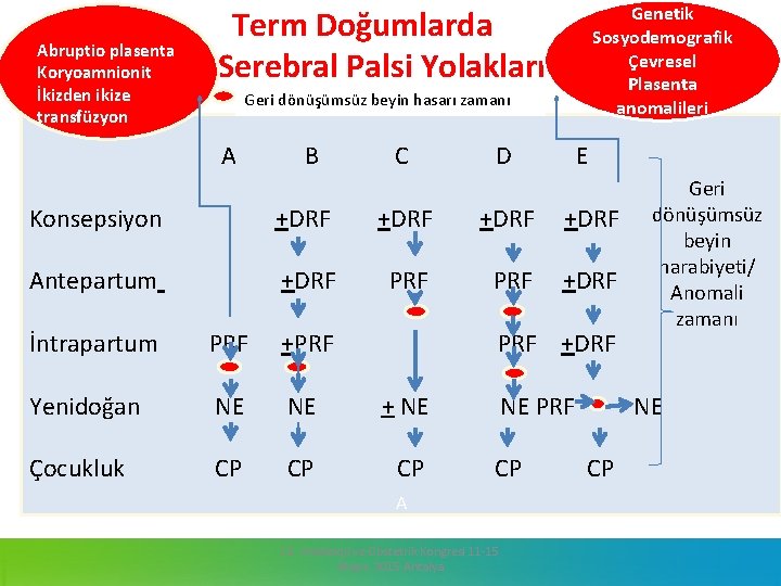 Abruptio plasenta Koryoamnionit İkizden ikize transfüzyon Genetik Sosyodemografik Çevresel Plasenta anomalileri Term Doğumlarda Serebral